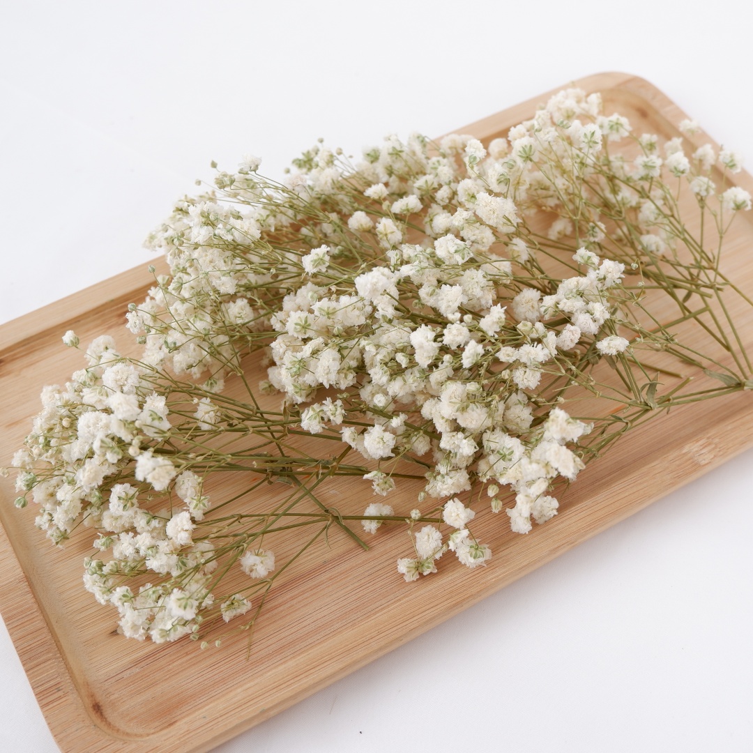 Baby Breath Dried - Dried Flowers White Mini Dried Babys