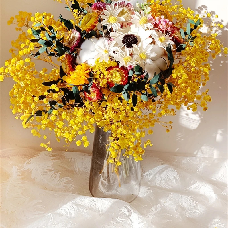 Baby Breath Dried - Natural Dried Flower Gypsophila Fresh Preserved