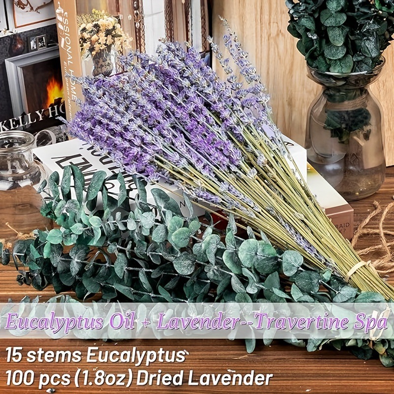 Eucalyptus Preserved - Preserved Lavender & Eucalyptus Dried Bouquet