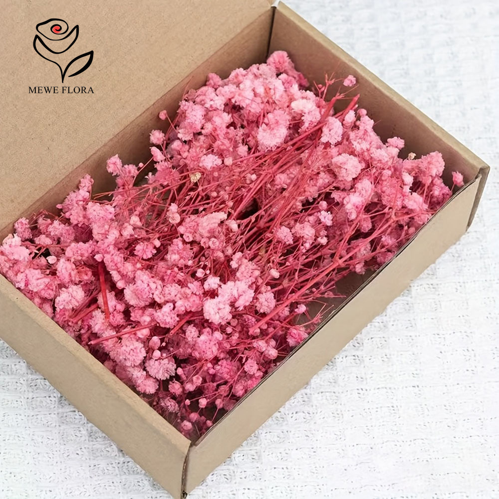 Baby Breath Dried - 100 Small Branch Dried Baby's Breath