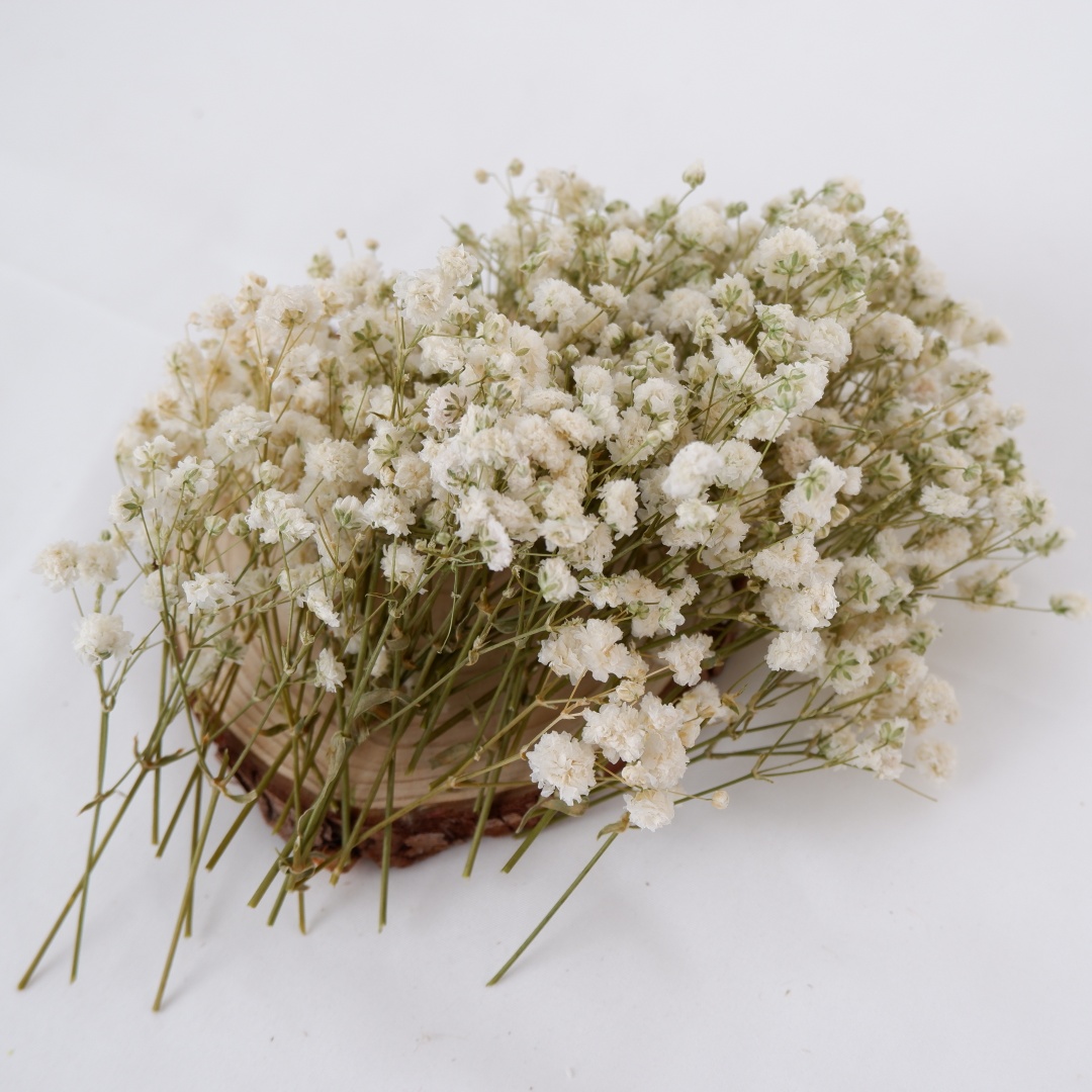 Dried Flowers White Mini Dried - огляд і ціна Baby Breath Dried