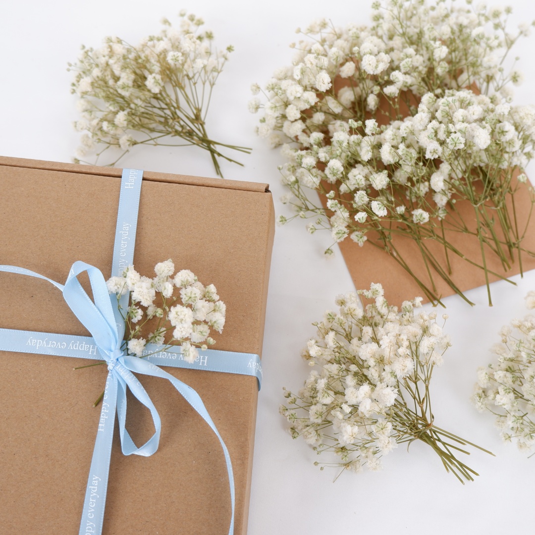 Dried Flowers White Mini Dried - огляд і ціна Baby Breath Dried