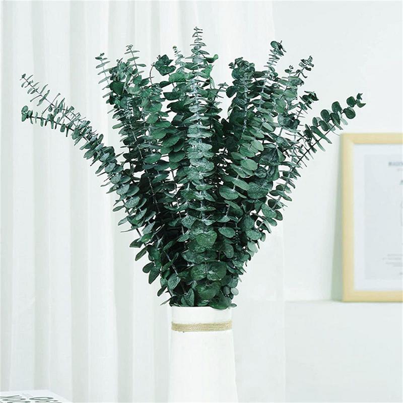 10PCS Real Eucalyptus Leaves D - огляд і ціна Eucalyptus Preserved