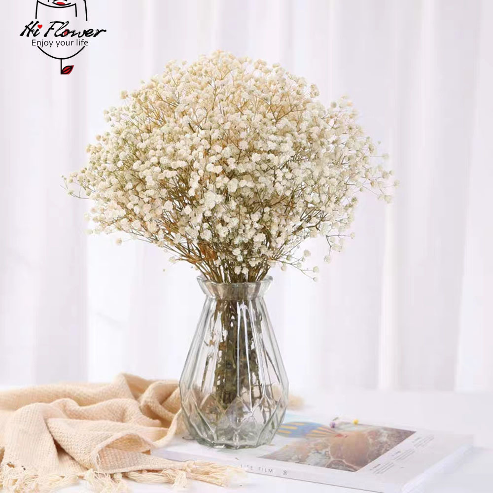 Natural Dried Flowers Preserve - огляд і ціна Baby Breath Dried