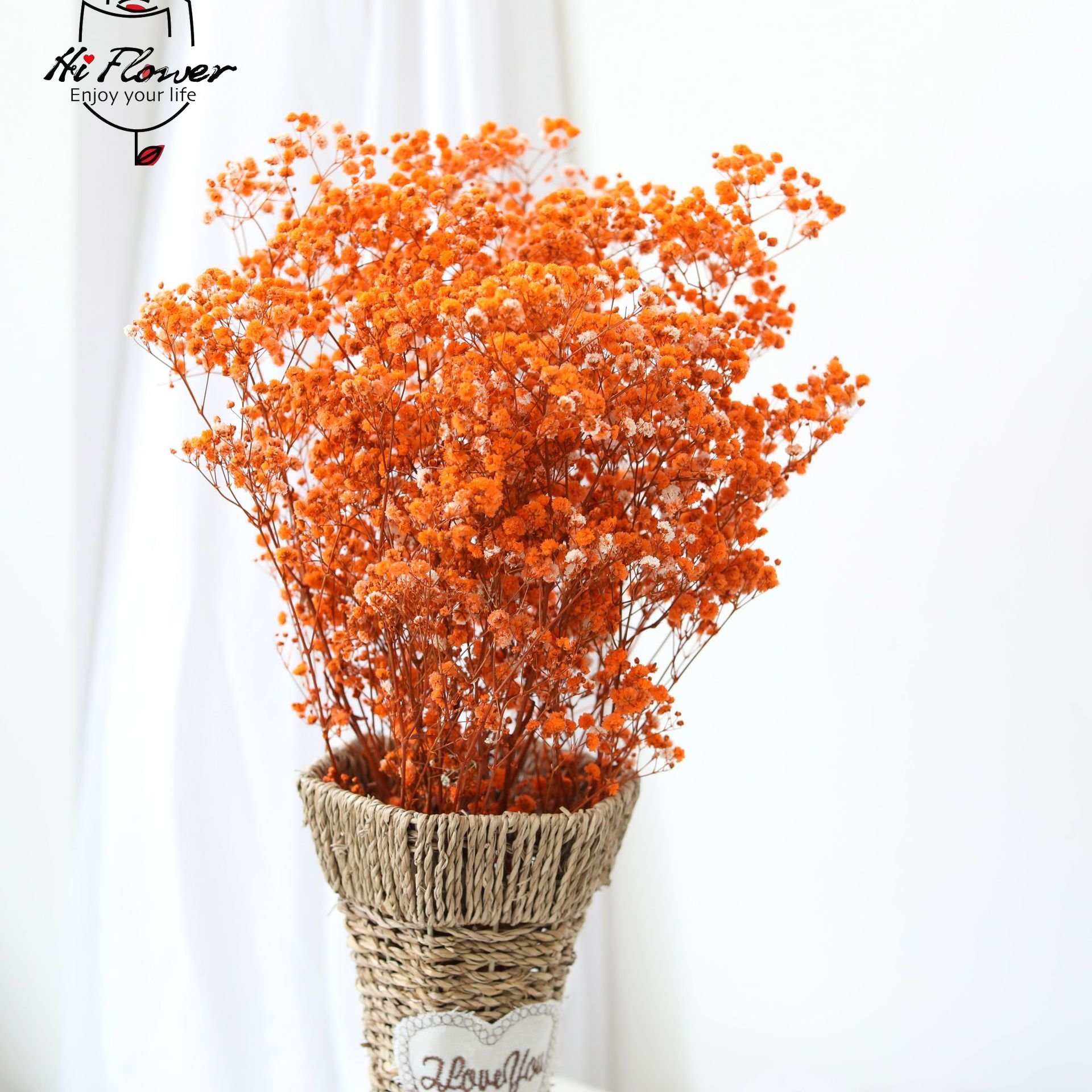 Natural Dried Flowers Preserve - огляд і ціна Baby Breath Dried