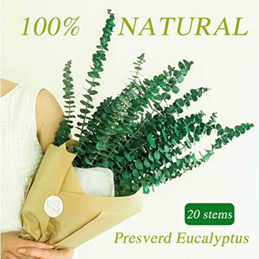 20 Pcs Preserved Dried Eucalyp - огляд і ціна Eucalyptus Preserved