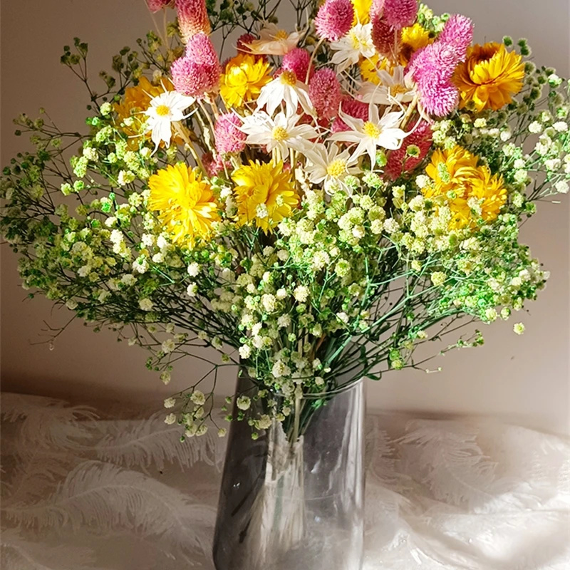 Natural Dried Flower Gypsophil - огляд і ціна Baby Breath Dried