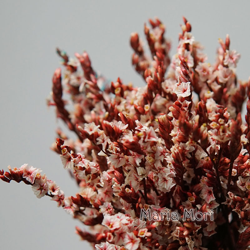 5g/ Colorful Dired Preserved C - огляд і ціна Baby Breath Dried