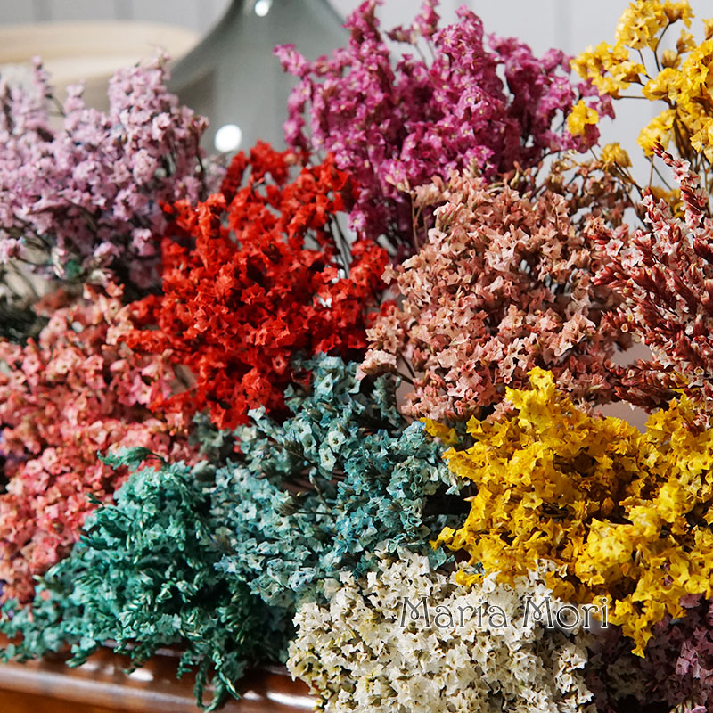 5g/ Colorful Dired Preserved C - огляд і ціна Baby Breath Dried