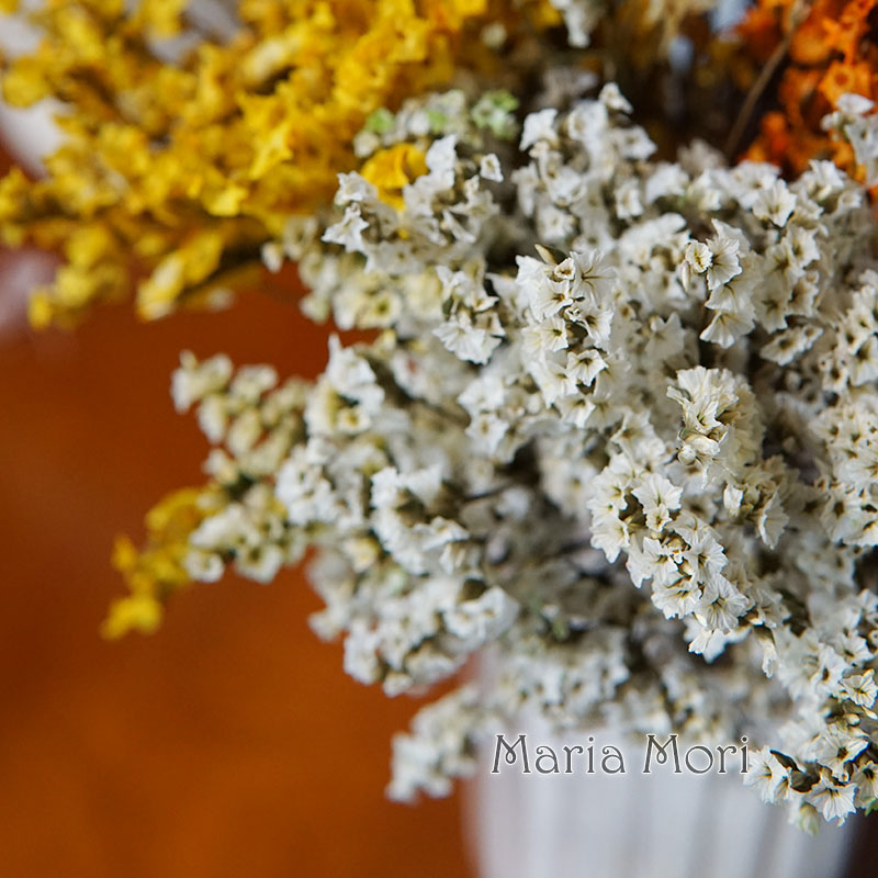 5g/ Colorful Dired Preserved C - огляд і ціна Baby Breath Dried