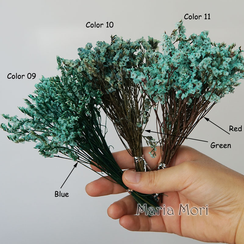 5g/ Colorful Dired Preserved C - огляд і ціна Baby Breath Dried