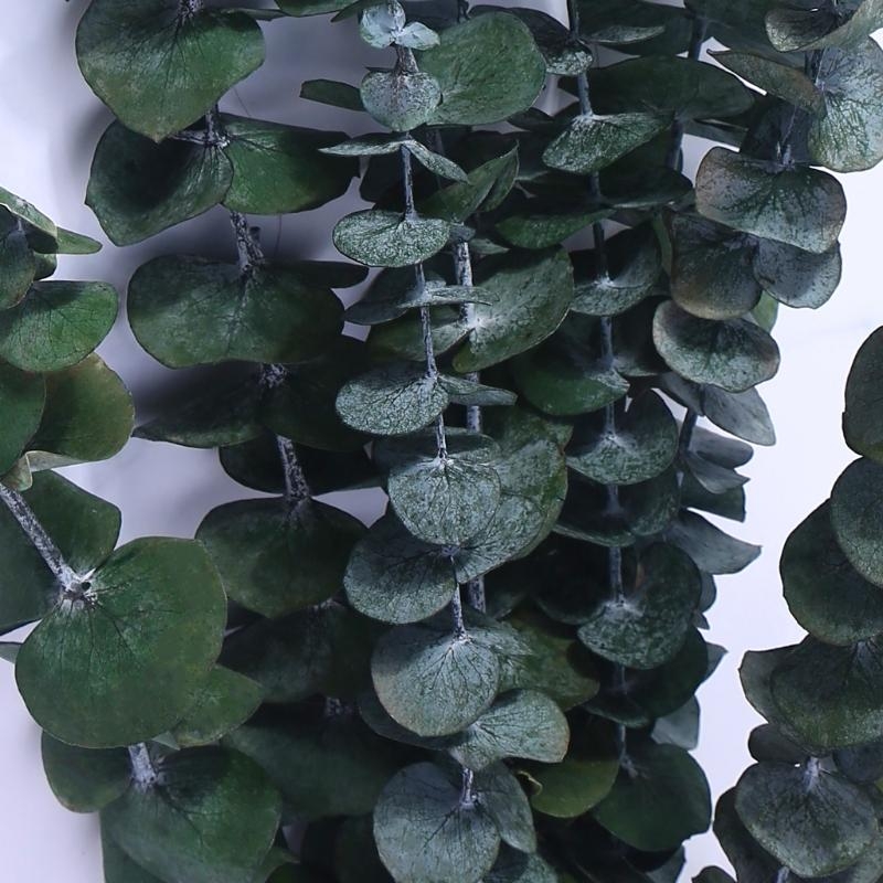20Pcs Preserved for Fresh Euca - огляд і ціна Eucalyptus Preserved