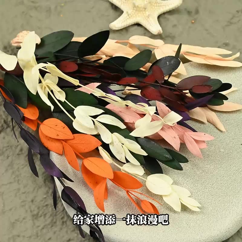 Dried  Flower Preserved Flower - огляд і ціна Eucalyptus Preserved