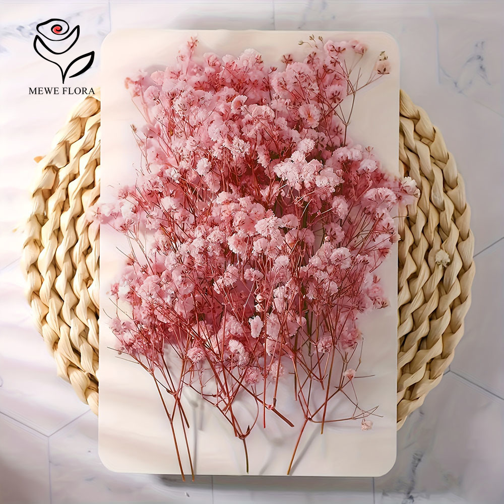 100 Small Branch Dried Baby's  - огляд і ціна Baby Breath Dried