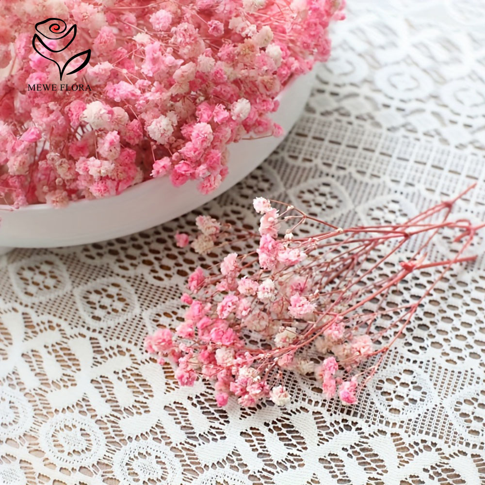 100 Small Branch Dried Baby's  - огляд і ціна Baby Breath Dried