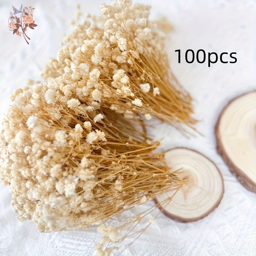 100pcs Mini Dried Baby's Breat - огляд і ціна Baby Breath Dried