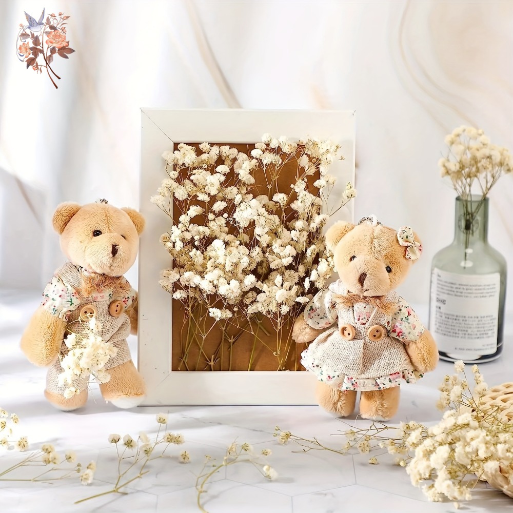 100pcs Mini Dried Baby's Breat - огляд і ціна Baby Breath Dried