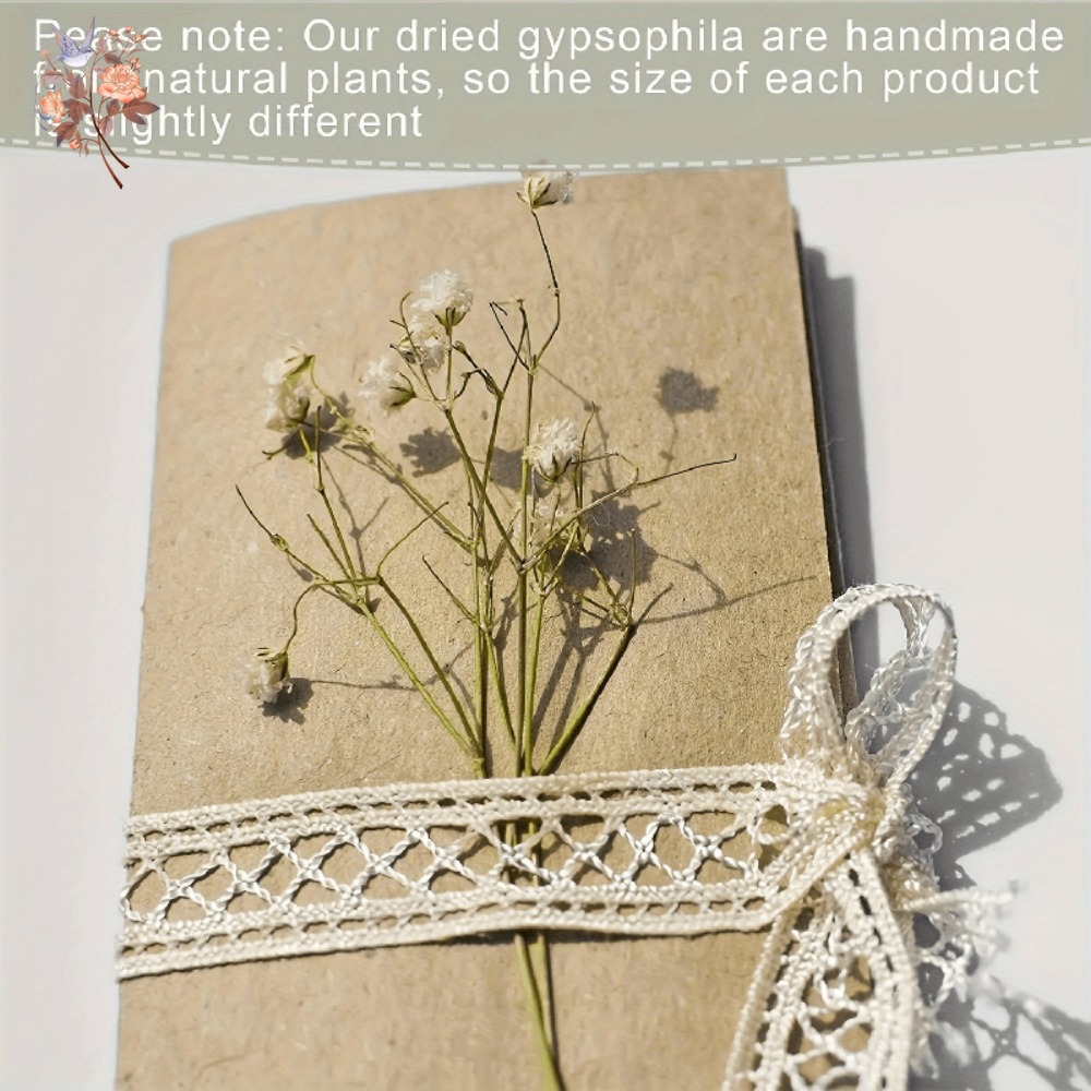 100pcs Mini Dried Baby's Breat - огляд і ціна Baby Breath Dried